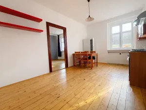 Prodej bytu 1+1, Ústí nad Labem, Palachova, 47 m2