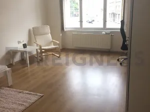 Pronájem bytu 2+1, Hradec Králové, Divišova, 90 m2