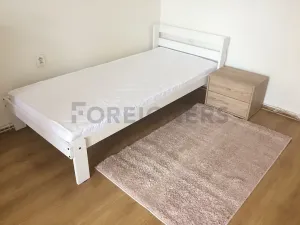 Pronájem bytu 2+1, Hradec Králové, Divišova, 90 m2