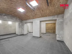 Prodej obchodního prostoru, Praha, Seifertova, 110 m2