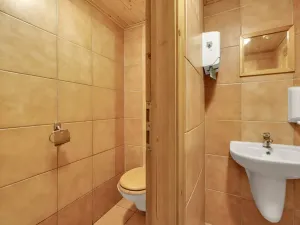 Prodej chalupy, Vítkovice, 500 m2