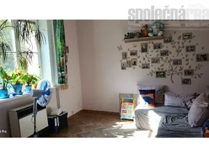 Pronájem bytu 2+kk, Praha - Žižkov, Lucemburská, 52 m2