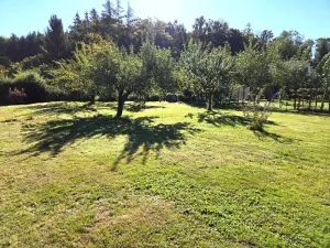 Prodej pozemku pro bydlení, Mladkov, 560 m2