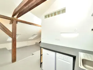 Pronájem bytu 1+kk, Praha - Nusle, Oldřichova, 29 m2