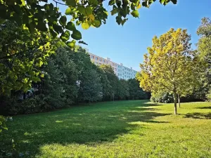 Prodej bytu 2+1, Brno, Nezvalova, 53 m2