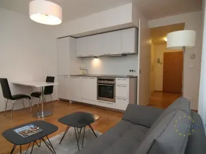 Pronájem bytu 2+kk, Praha - Žižkov, Pitterova, 70 m2