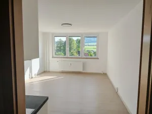 Pronájem bytu 1+kk, Nový Jičín, Jičínská, 28 m2