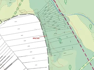 Dražba lesa, Přísnotice, 31 m2