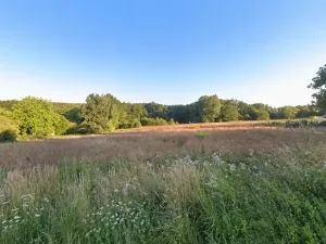 Prodej podílu pozemku pro bydlení, Doubrava, 12199 m2