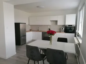 Pronájem bytu 3+kk, Šumice, 100 m2