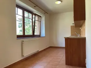Pronájem bytu 1+1, Chomutov, Kadaňská, 45 m2