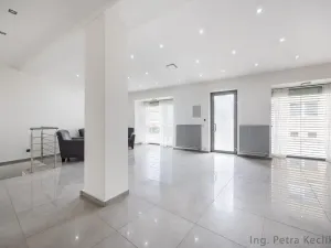 Prodej rodinného domu, Brno - Slatina, Tilhonova, 154 m2