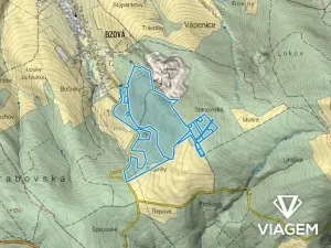 Prodej podílu lesa, Bojkovice, 3318 m2