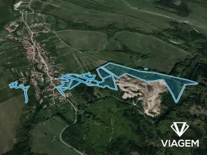 Prodej podílu lesa, Bojkovice, 3318 m2