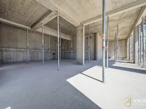 Prodej obchodního prostoru, Brno, 766 m2