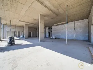 Prodej obchodního prostoru, Brno, 259 m2