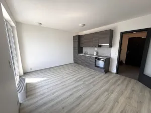 Pronájem bytu 1+kk, Praha - Holešovice, Na Maninách, 33 m2
