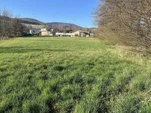 Prodej pozemku pro bydlení, Bílý Kostel nad Nisou, 2504 m2