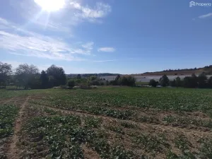 Prodej pozemku pro bydlení, Ježkovice, 56184 m2