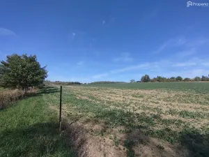 Prodej pole, Ježkovice, 56184 m2