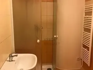 Pronájem bytu 1+kk, Litoměřice, Nerudova, 32 m2