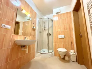 Pronájem bytu 2+kk, Praha - Karlín, Křižíkova, 52 m2