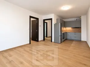 Pronájem bytu 2+kk, České Budějovice, Generála Klapálka, 55 m2