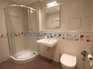 Pronájem bytu 4+kk, Praha - Žižkov, Olšanská, 110 m2