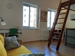 Prodej bytu 1+kk, Praha - Nové Město, Sokolská, 23 m2