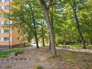 Prodej bytu 2+1, Liberec, Nad Školou, 60 m2