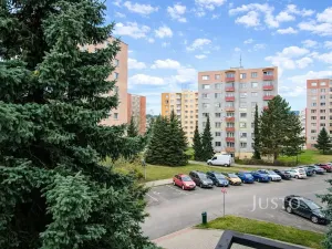 Pronájem bytu 1+1, Písek, třída Přátelství, 38 m2