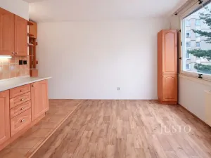 Pronájem bytu 1+1, Písek, třída Přátelství, 38 m2