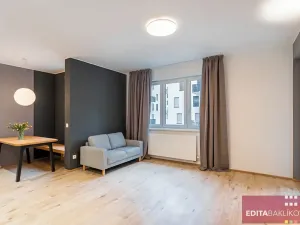 Pronájem bytu 2+kk, Olomouc, Eduarda Hamburgera, 57 m2