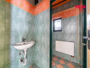 Prodej obchodního prostoru, Krásné Údolí, 220 m2