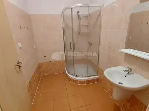 Pronájem bytu 3+1, Praha - Žižkov, Biskupcova, 70 m2