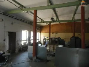 Prodej výrobních prostor, Stružinec, 10029 m2