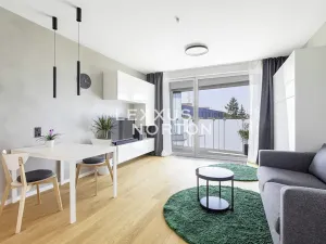 Pronájem bytu 1+kk, Praha - Michle, Hodonínská, 32 m2