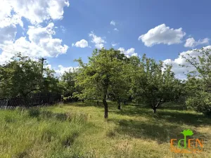 Prodej rodinného domu, Břasy, 135 m2