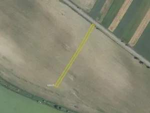 Prodej pole, Kuchařovice, 6602 m2