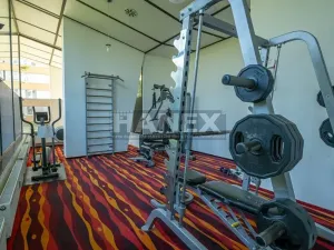Pronájem bytu 1+kk, Praha - Karlín, Molákova, 36 m2