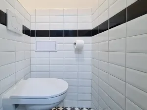 Pronájem bytu 2+1, Brno, Gorkého, 59 m2