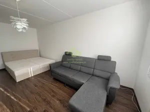 Pronájem bytu 1+1, Plzeň, Břeclavská, 39 m2