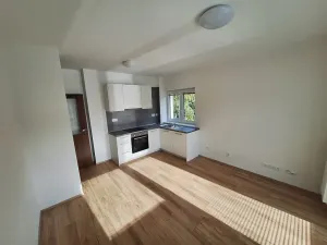 Pronájem bytu 2+kk, Přáslavice, 48 m2