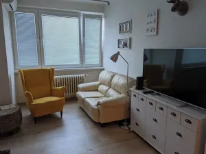Pronájem bytu 1+kk, Praha - Nusle, Pod pramenem, 52 m2