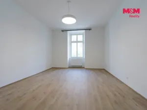 Pronájem bytu 2+kk, Plzeň - Jižní Předměstí, Americká, 62 m2