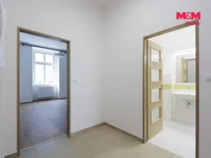 Pronájem bytu 2+kk, Plzeň - Jižní Předměstí, Americká, 62 m2