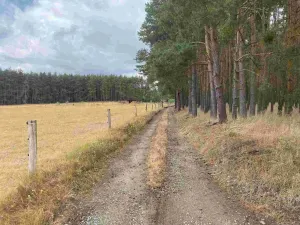 Prodej pozemku, Kladruby - Tuněchody, 2230 m2