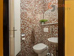 Prodej vícegeneračního domu, Hlohovec, Dolní konec, 259 m2