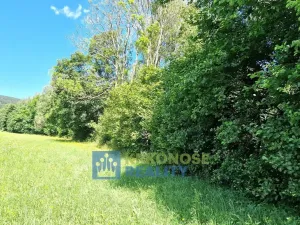 Prodej louky, Trutnov - Babí, 22776 m2