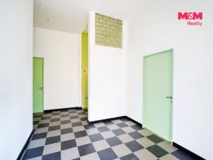 Prodej bytu 3+1, Plzeň - Jižní Předměstí, Skrétova, 179 m2